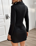 Long Sleeved Buttons Zipper Dress