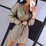 V-Neck Women Slim Long-Sleeved Dress