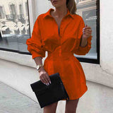 Slim Solid Color Long Sleeve Receive Waist Dress