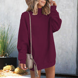 Loose Long Sleeves High-Necked Sweater Dress