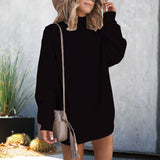 Loose Long Sleeves High-Necked Sweater Dress