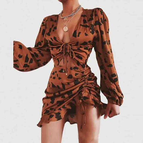 Leopard Print Deep V Long Sleeve Dress