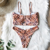 Backless Sexy Leopard Print Bikini Swimsuit