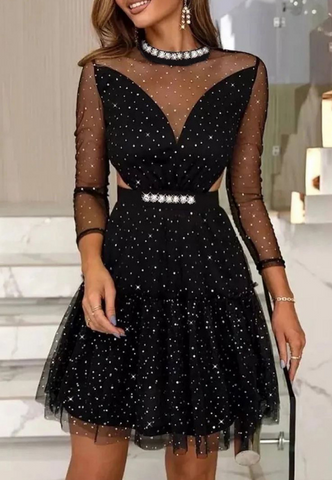 Black Sexy Mesh Long Sleeve Dress