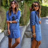 Solid Color Cardigan Long Sleeves Dress