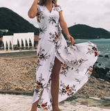 Women's Sexy V-neck Print Chiffon Beach Dress