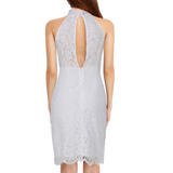 Solid Color Lace Halter Sleeveless Mini-Dress