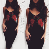 Sexy Sling Embroidery dress