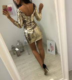 Design Fashion Sequins Long Sleeve Sexy Dress