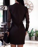 Long Sleeve Women Black Mesh Dress