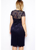 Sexy V-neck short-sleeved lace package hip dress