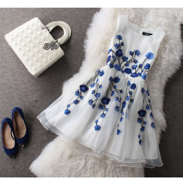Fashion Blue Embroidered Dress