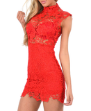 Sexy Embroidered Lace High-Necked Sleeveless Dress