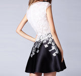 Slim Was Thin Lace Embroidery Sleeveless Dress