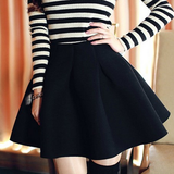 Cute Autumn Or Winter Skirts